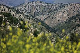 أجواء صيفية في المرتفعات وحارة في باقي المناطق الجمعة