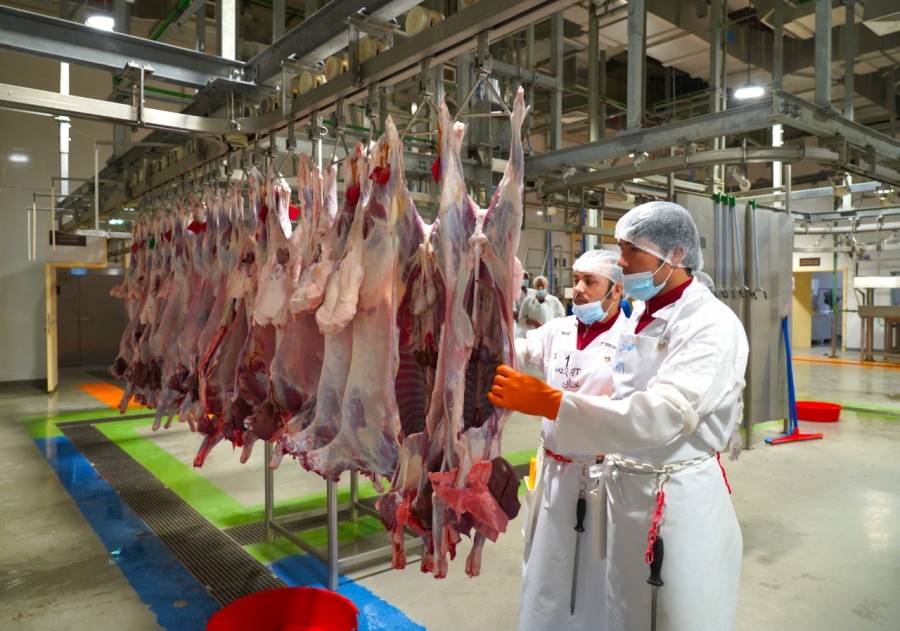 سوق الشارقة للمواشي يستقبل 7359 زائراً طيلة أيام العيد