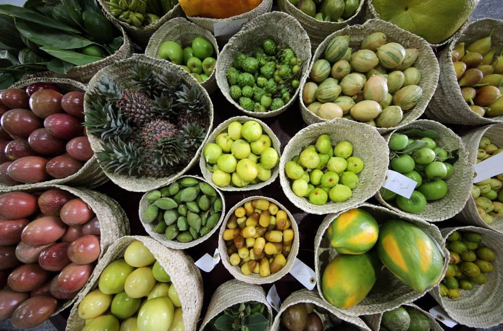 السوق الشعبي في مهرجان ليوا للرطب.. منتجات تعكس التراث وتحتفي بالنخيل