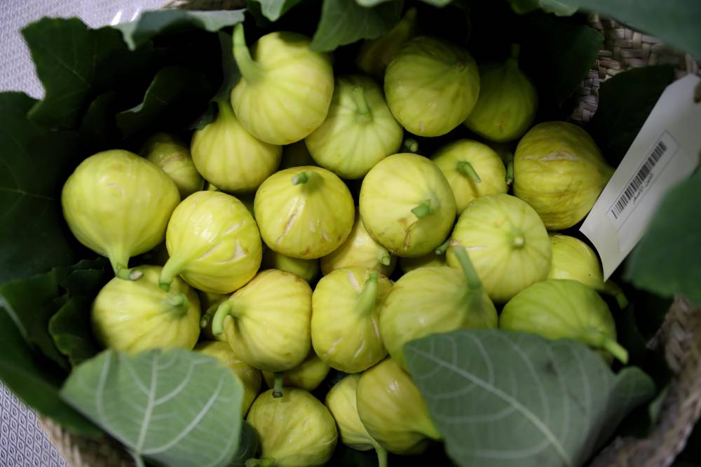 السوق الشعبي في مهرجان ليوا للرطب.. منتجات تعكس التراث وتحتفي بالنخيل