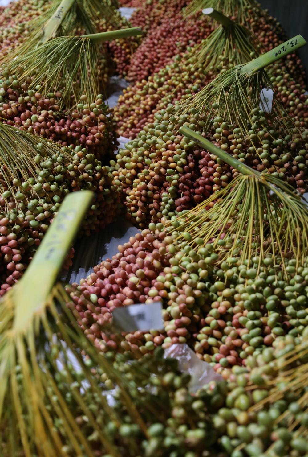 إيكاي يفتح أبوابه في مركز دبي المالي العالمي ليقدم لضيوفه تجارب مميزة وسط أجواء فاخرة