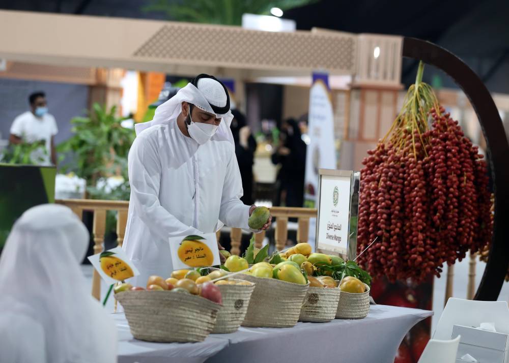 مسابقات المانجو والليمون في مهرجان ليوا للرطب.. مشاركات مميزة من مزارع الإمارات