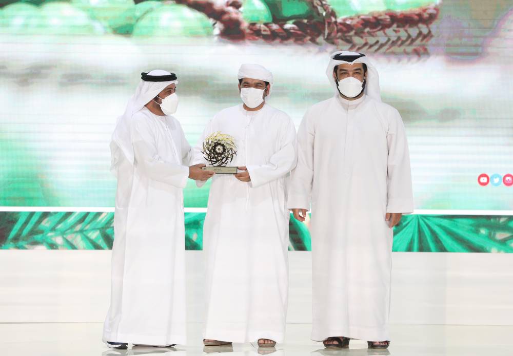 مسابقات المانجو والليمون في مهرجان ليوا للرطب.. مشاركات مميزة من مزارع الإمارات