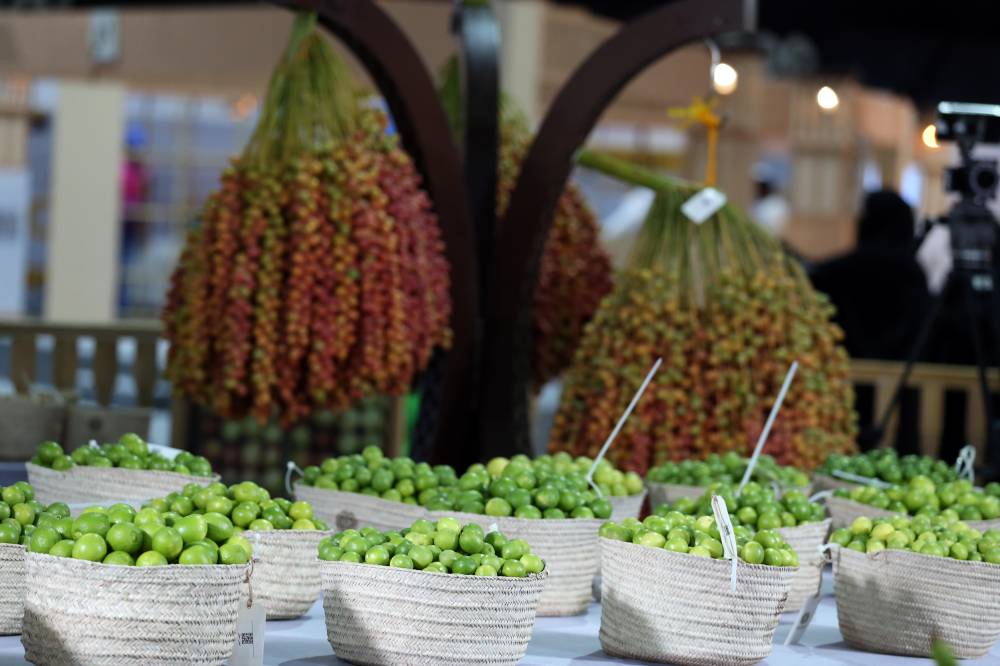 مسابقات المانجو والليمون في مهرجان ليوا للرطب.. مشاركات مميزة من مزارع الإمارات