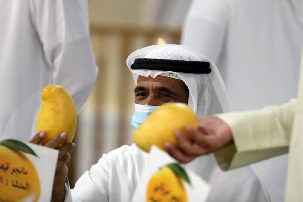 مسابقات المانجو والليمون في مهرجان ليوا للرطب.. مشاركات مميزة من مزارع الإمارات