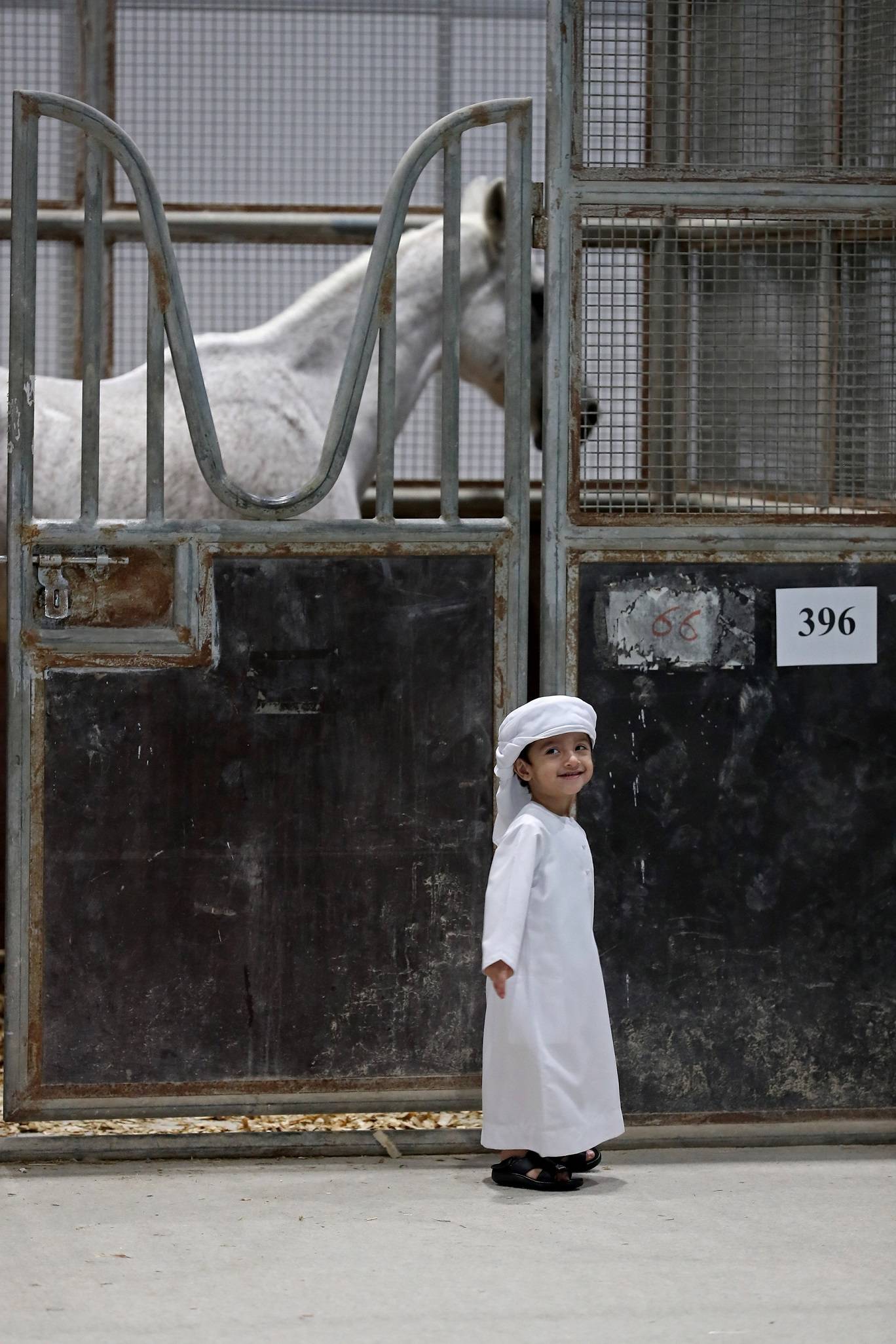 معرض أبوظبي الدولي للصيد والفروسية يُطلق مزاد الخيول العربية – سباقات السرعة