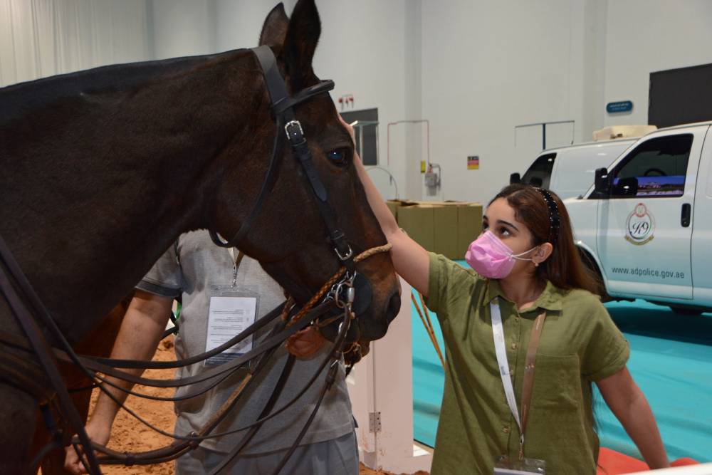 معرض أبوظبي الدولي للصيد والفروسية يُطلق مزاد الخيول العربية – سباقات السرعة