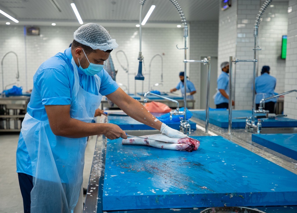 دائرة البلديات والنقل تفتتح مبنى سوق السمك الجديد ضمن مشروع تطوير ميناء زايد في مدينة أبوظبي