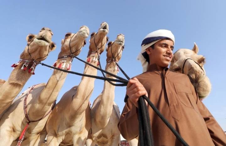 برعاية رئيس الدولة ينطلق مهرجان الظفرة 28 أكتوبر المقبل