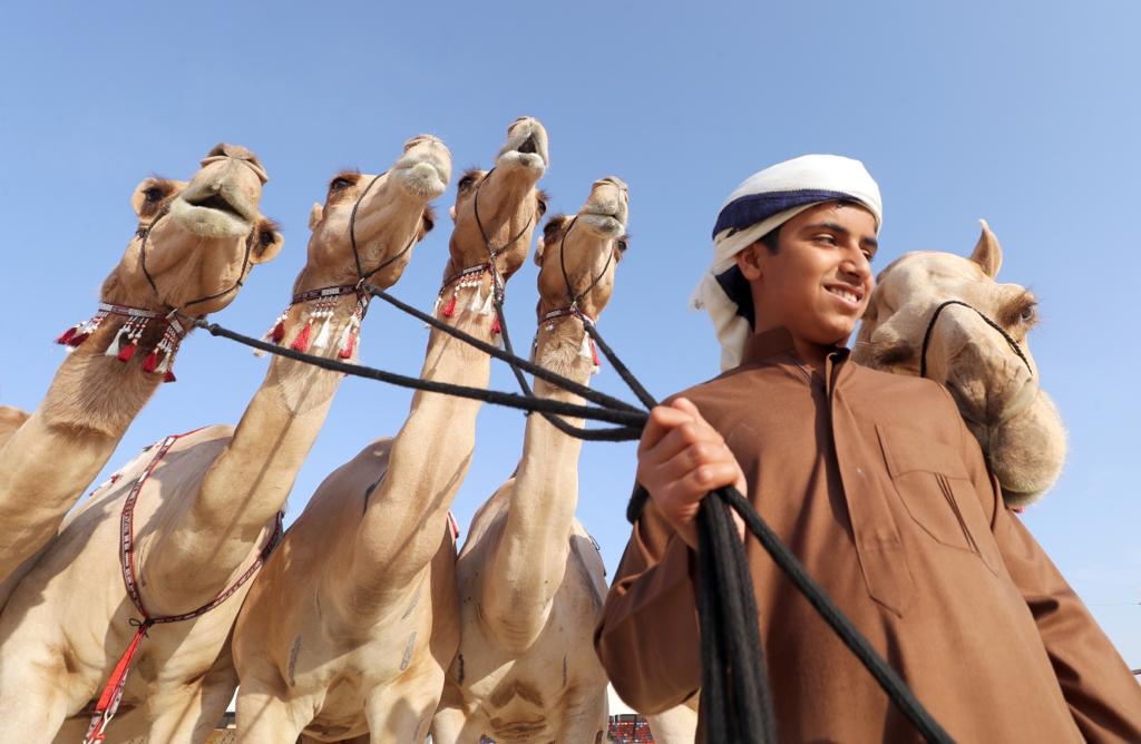  برعاية رئيس الدولة ينطلق مهرجان الظفرة 28 أكتوبر المقبل