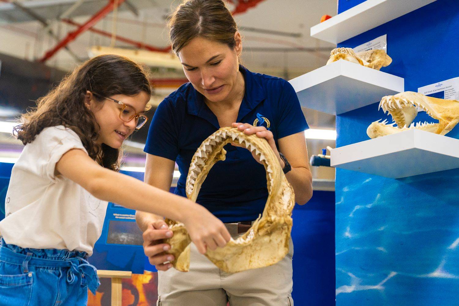 منتجع أتلانتس النخلة يطلق باقةً من النشاطات المميزة ضمن فعاليات أسبوع القرش