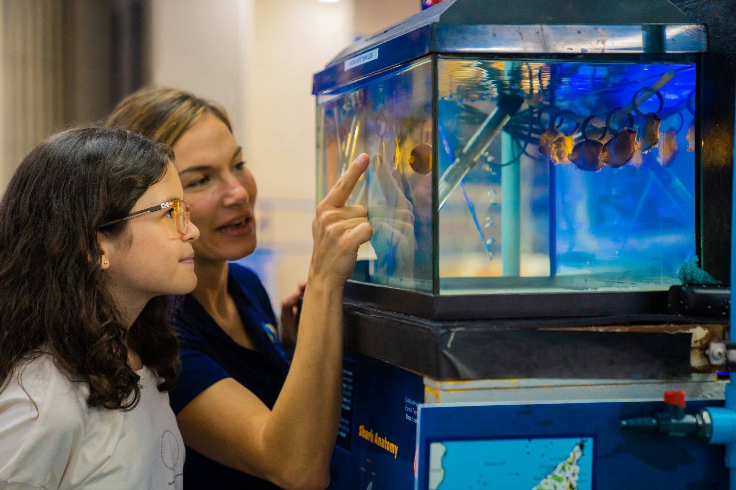 منتجع أتلانتس النخلة يطلق باقةً من النشاطات المميزة ضمن فعاليات أسبوع القرش