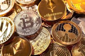 منتجع أتلانتس النخلة يطلق باقةً من النشاطات المميزة ضمن فعاليات أسبوع القرش