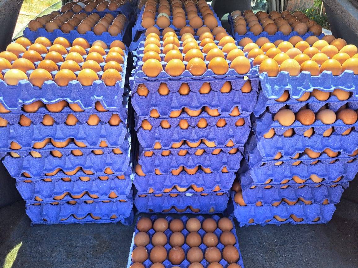 شكر وعرفان  لجمعية عندي حلم للمباردات الانسانيه