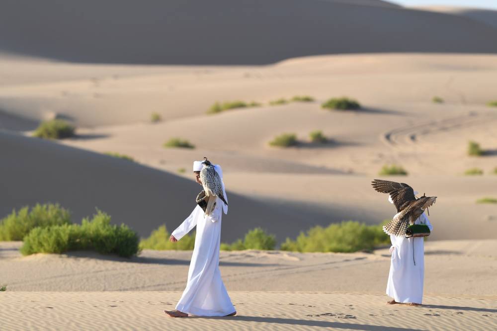 منصّة مهمة للمُنتجين الإماراتيين للترويج للصقور المكاثرة في الأسر..  