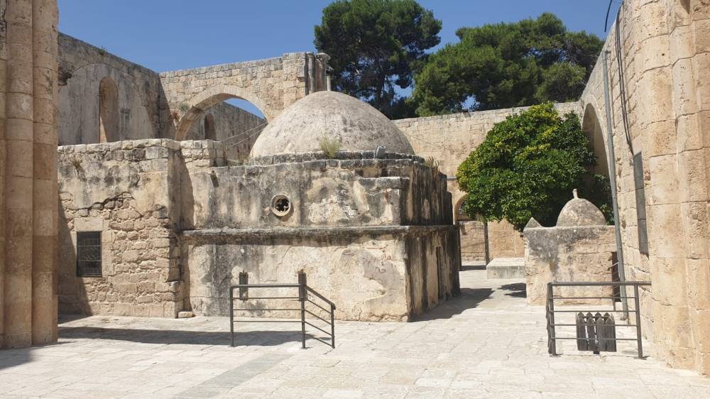 فلسطين   جولة ميدانية لإدلاء سياحيين في بلدة سبسطية