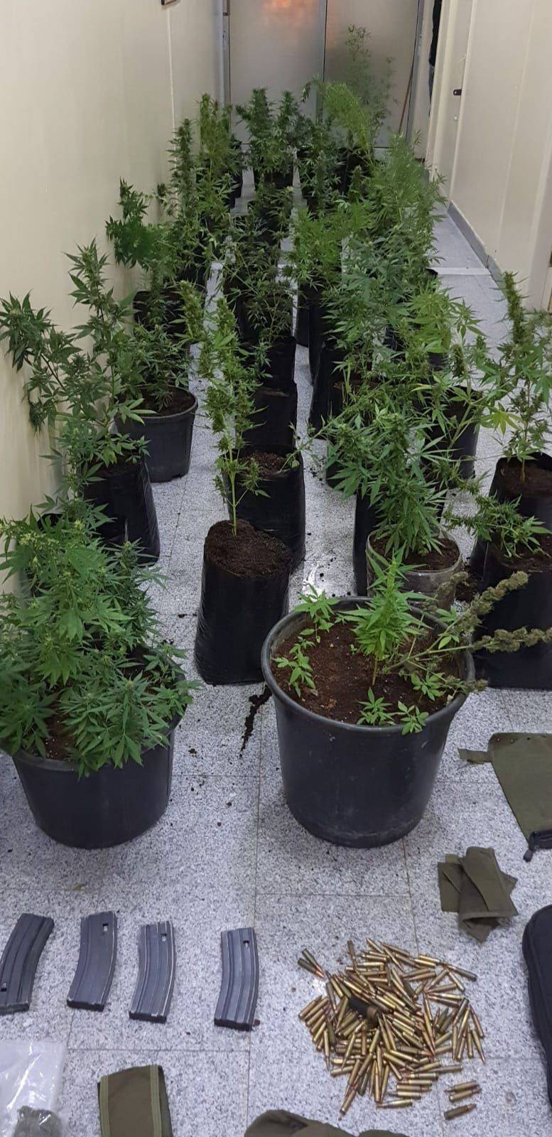 مكافحة المخدرات تضبط مروجين في ٣ قضايا نوعية