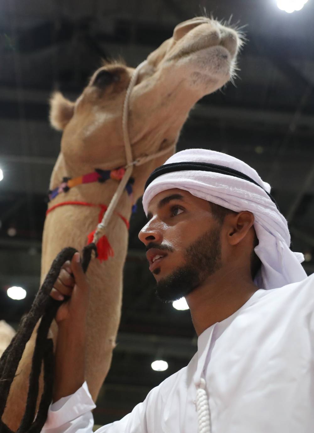 3 مزادات فريدة من نوعها يُنظّمها معرض أبوظبي الدولي للصيد والفروسية