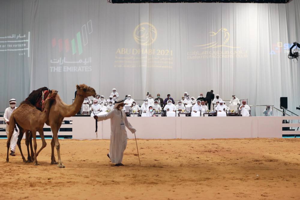 3 مزادات فريدة من نوعها يُنظّمها معرض أبوظبي الدولي للصيد والفروسية