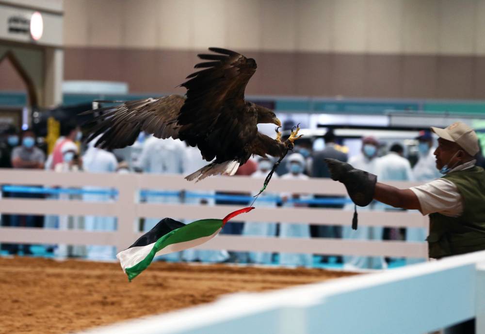 معرض أبوظبي الدولي للصيد يُكثّف حملته الترويجية لاستقطاب الزوار