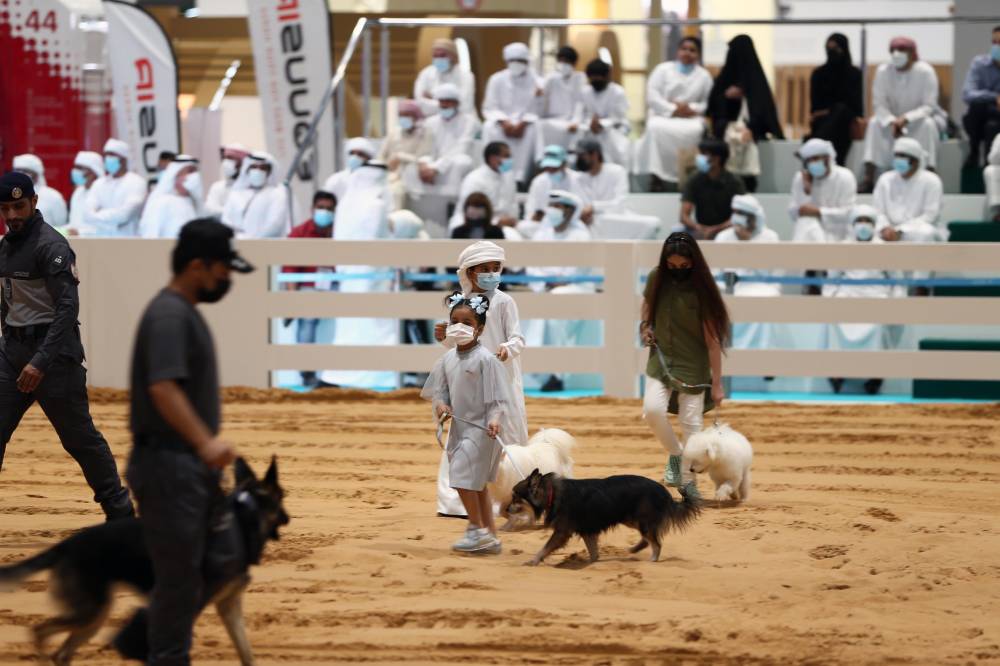معرض أبوظبي الدولي للصيد يُكثّف حملته الترويجية لاستقطاب الزوار