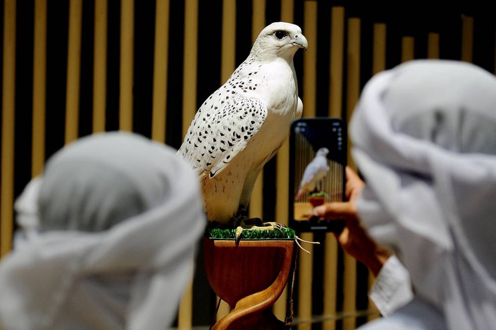 معرض أبوظبي الدولي للصيد يُقدّم لجمهوره أدوات الصقارة التقليدية وتطوّراتها الحديثة
