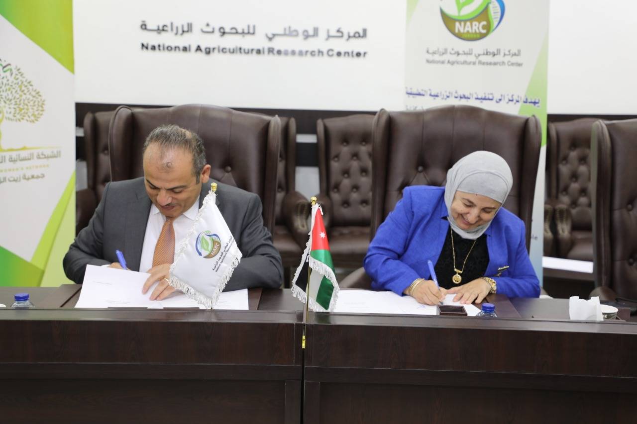مذكرة تفاهم بين البحوث الزراعية والشبكة النسائية لزيت الزيتون  