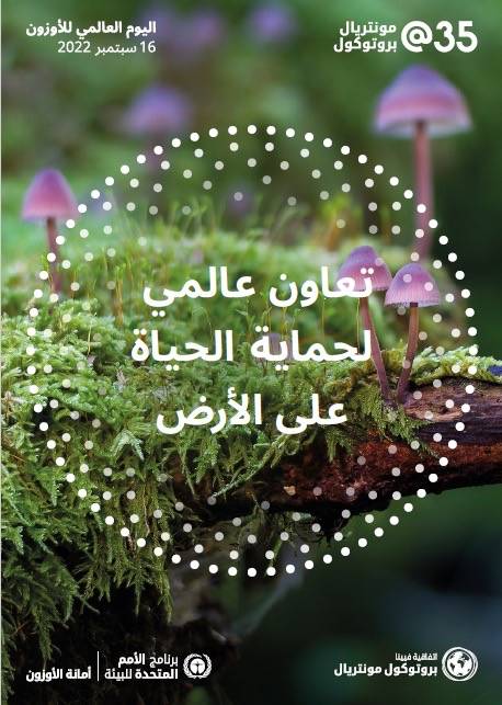 بيان صادر عن سلطة جودة البيئة بمناسبة اليوم الدولي لحفظ طبقة الأوزون