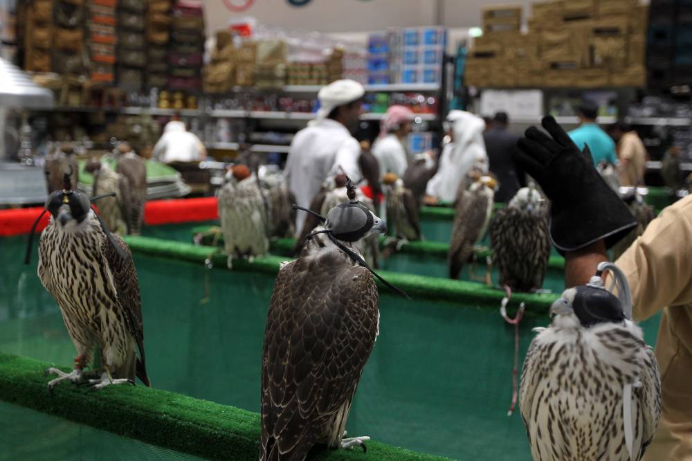 نادي صقّاري الإمارات يُنظّم مؤتمراً دولياً حول دور المُجتمعات المحلية في صون التراث