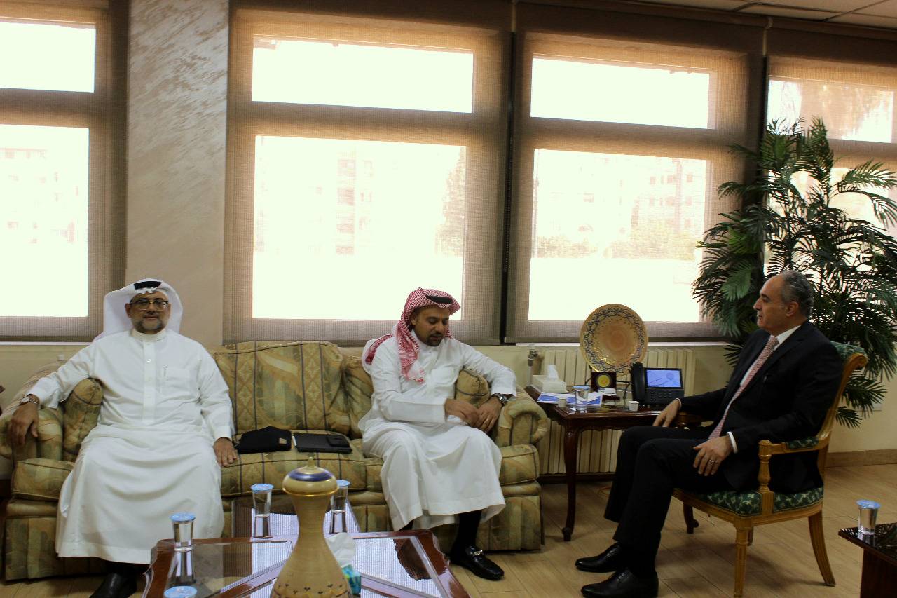 الرواشدة: اجتماعات أردنية-سعودية تناقش صيغ اتفاقيات الربط الكهربائي بين البلدين  
