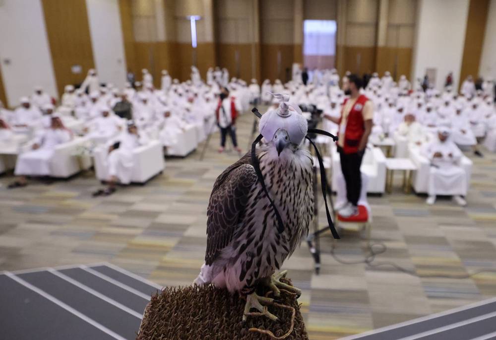 حضور قوي للشركات الإماراتية في عالم الصيد والفروسية