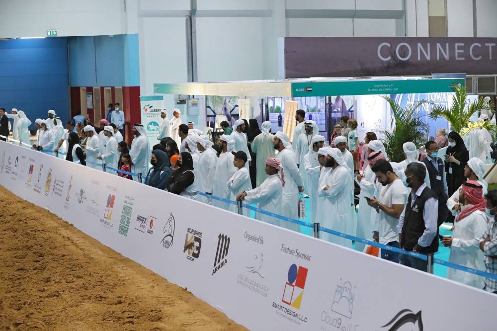 سحوبات مجانية على 19 صقراً للزوار والمزايدة على 3 صقور نادرة في اليوم الأخير