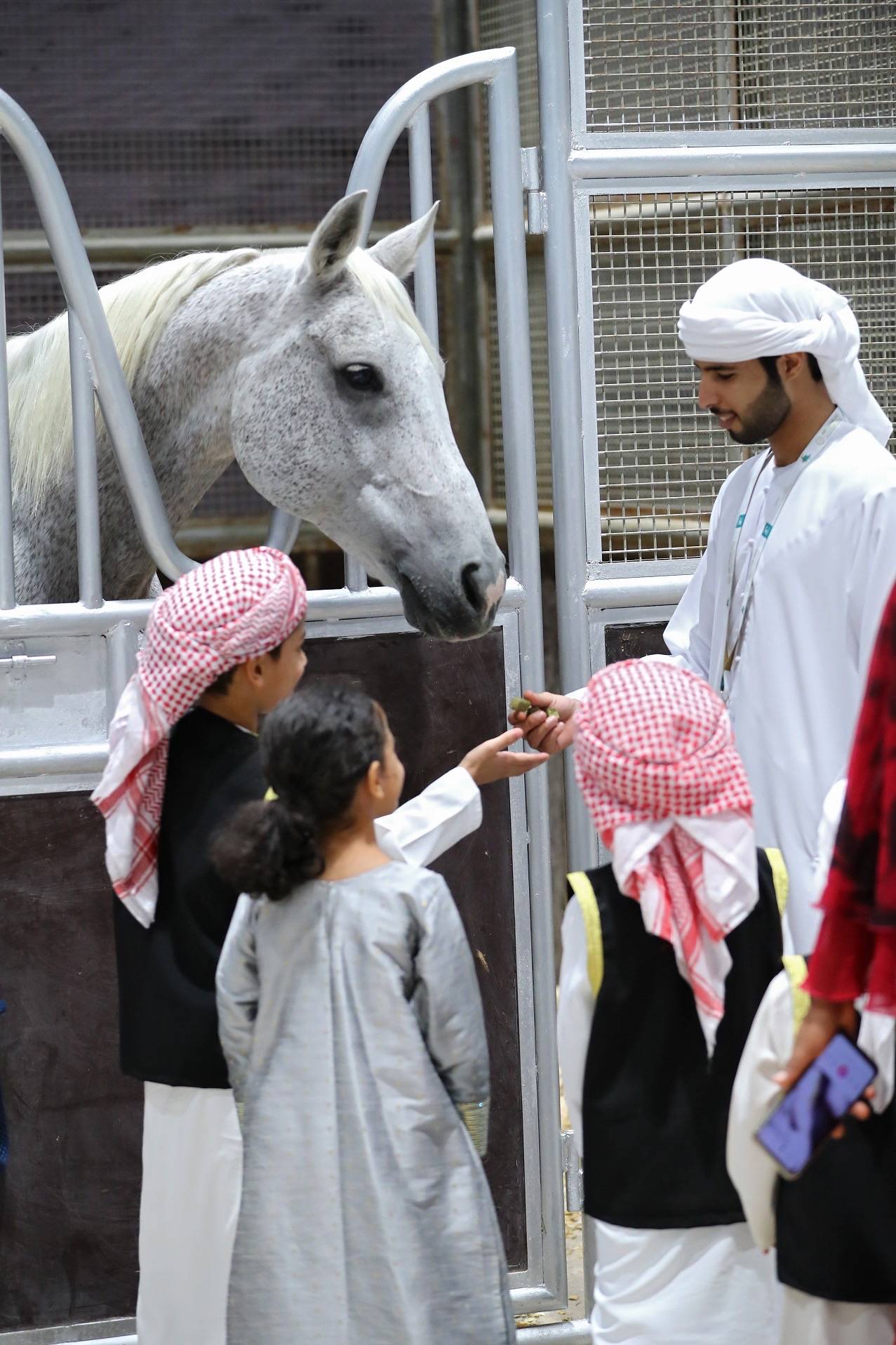 اليوم السابع من معرض أبوظبي الدولي للصيد والفروسية 2022 … تفاصيل 