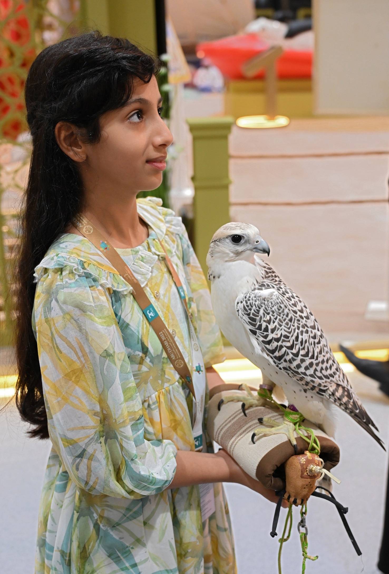 اليوم السابع من معرض أبوظبي الدولي للصيد والفروسية 2022 … تفاصيل 