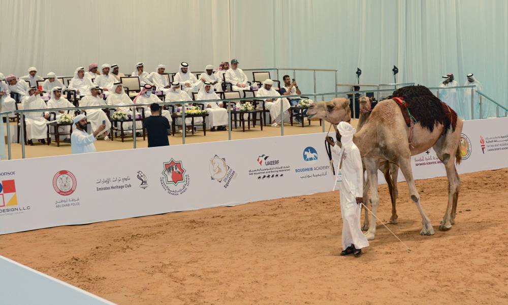 اليوم السابع من معرض أبوظبي الدولي للصيد والفروسية 2022 … تفاصيل 