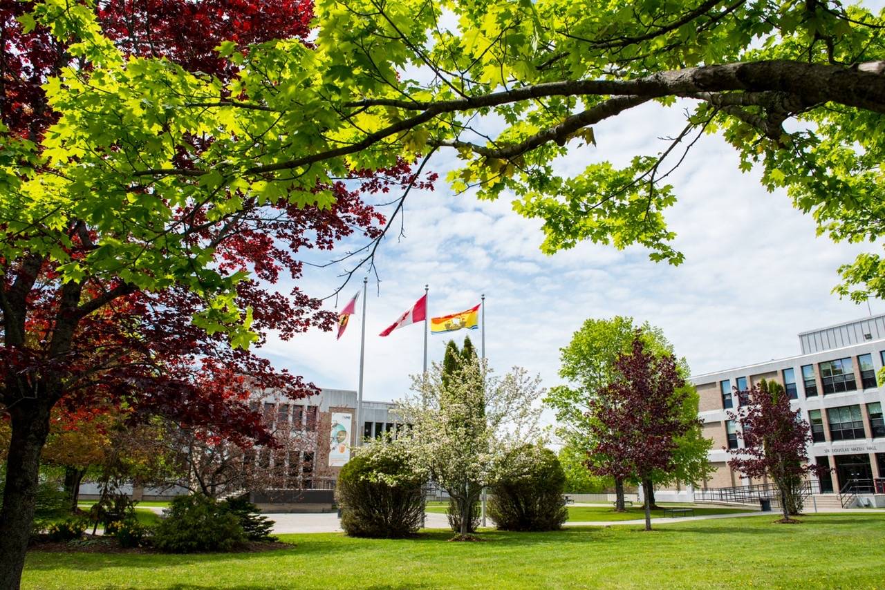 بالشراكة مع جامعة نيو برونزويك بكندا تقدم الجامعة الكندية دبي فرصة لطلاب ماجستير إدارة الأعمال للانتقال إلى كندا