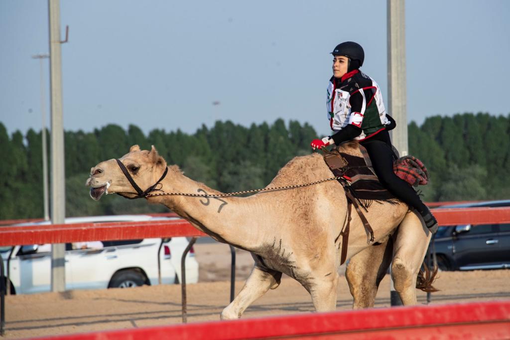 3 فئات للمرة الأولى تدشن انطلاقة السباقات التمهيدية لماراثون اليوم الوطني للهجن في دبي