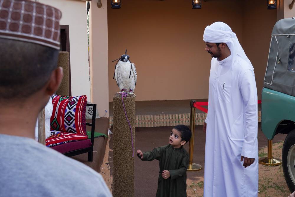 نادي صقاري الإمارات حاضر دوماً في مهرجان الشيخ زايد 