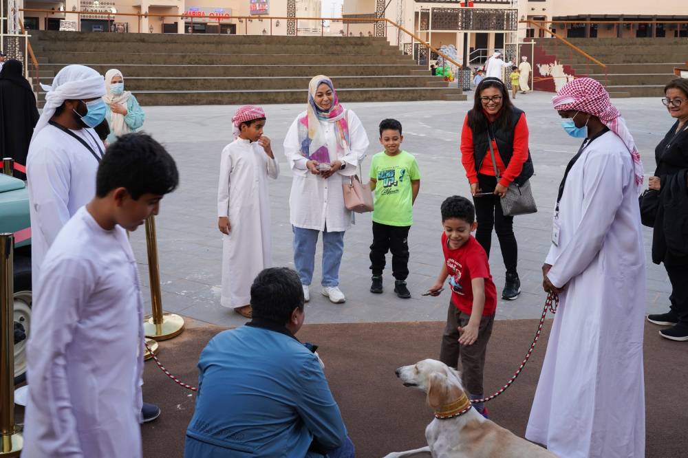 نادي صقاري الإمارات حاضر دوماً في مهرجان الشيخ زايد 