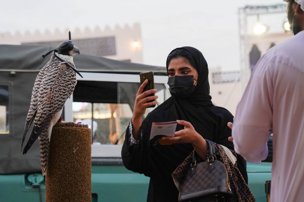 نادي صقاري الإمارات حاضر دوماً في مهرجان الشيخ زايد 