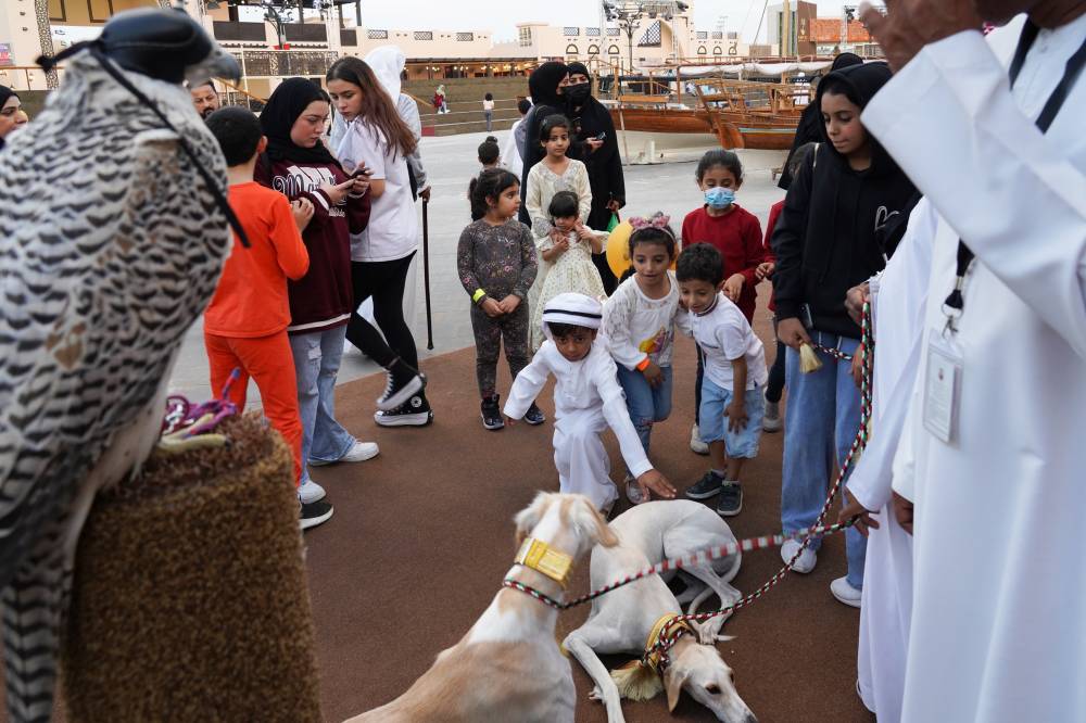 نادي صقاري الإمارات حاضر دوماً في مهرجان الشيخ زايد 