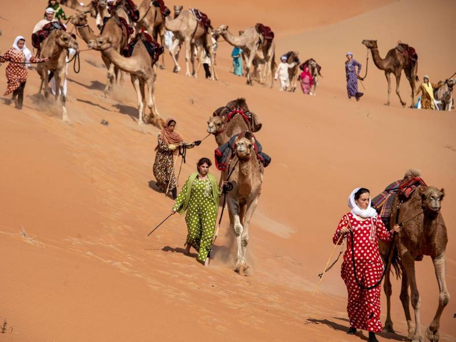 انطلاق رحلة الهجن بنسختها التاسعة البداية من عرادة وصولاً للقرية التراثية في القرية العالمية