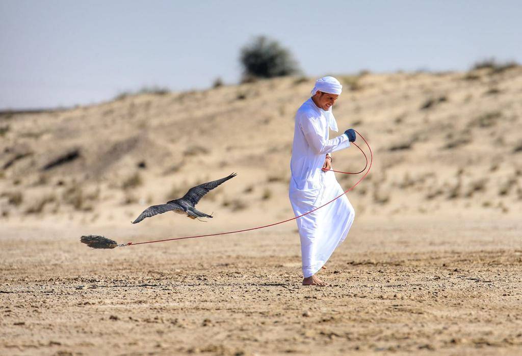 انطلاقة قوية ومشاركة خليجية فيالعامة مفتوح لبطولة فزاع للصيد بالصقور