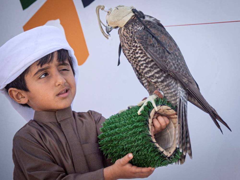 الناشئين مسك الختام لمستقبل واعد في بطولة فزاع للصيد بالصقور