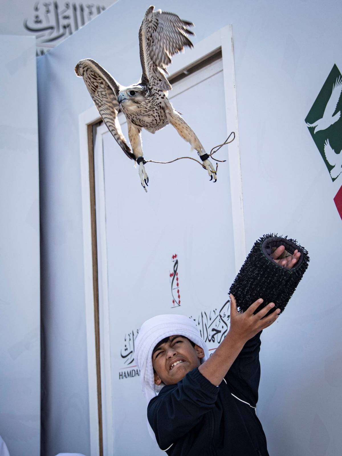 الناشئين مسك الختام لمستقبل واعد في بطولة فزاع للصيد بالصقور