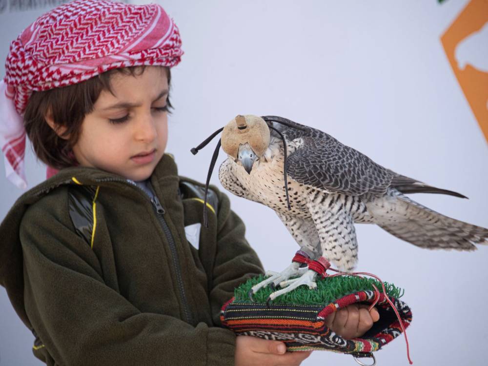 الناشئين مسك الختام لمستقبل واعد في بطولة فزاع للصيد بالصقور