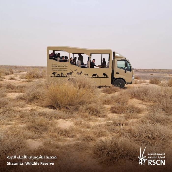الجمعية الملكية لحماية الطبيعة تطلق تجربة سفاري بحافلات جديدة في محمية الشومري