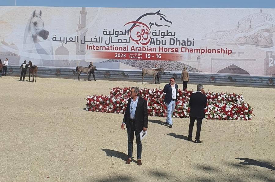 ثلاثية لمربط عجمان في اليوم الأول من بطولة أبوظبي الدولية لجمال الخيل العربية