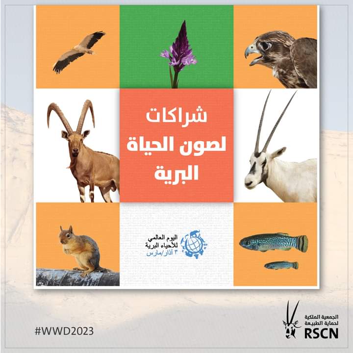الأردن يحتفل مع العالم باليوم العالمي للأحياء البرية