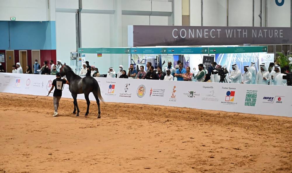 قفزة نوعية في فعاليات الفروسية يُحققها معرض أبوظبي الدولي للصيد 
